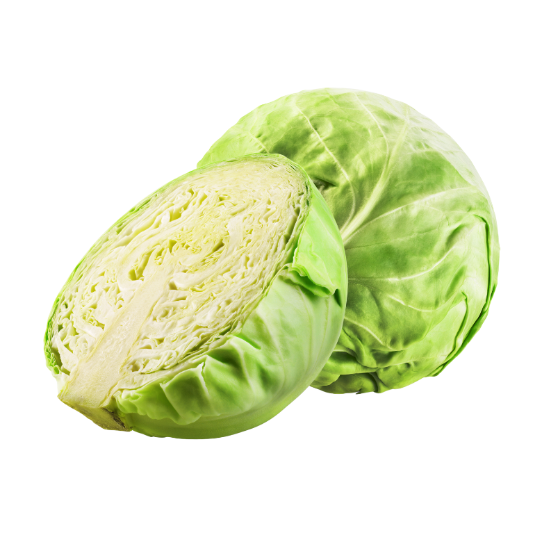 Cabbage